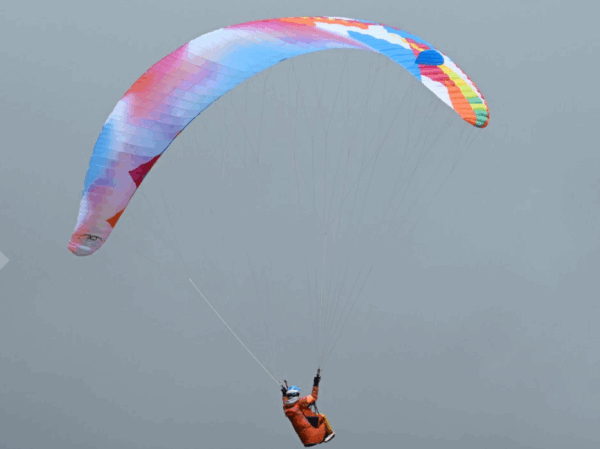 Breeze BGD – Image 3