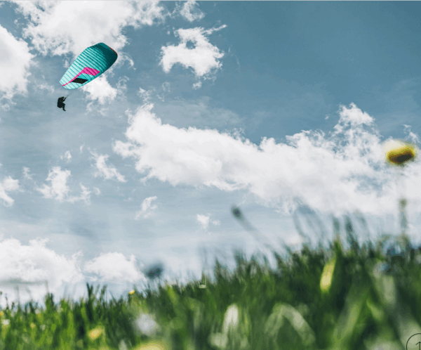Kode 2 P – Image 6